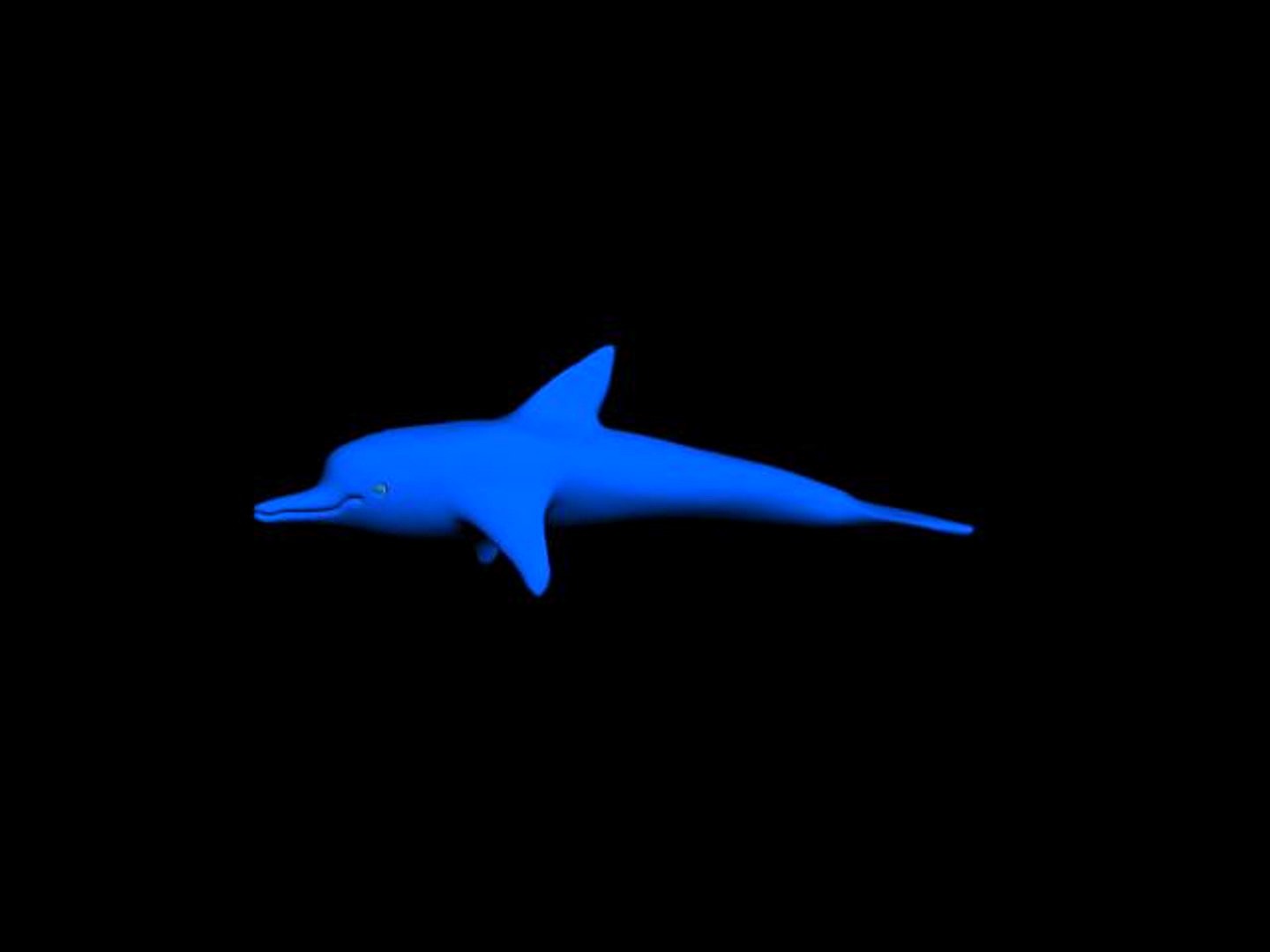 Dolphin