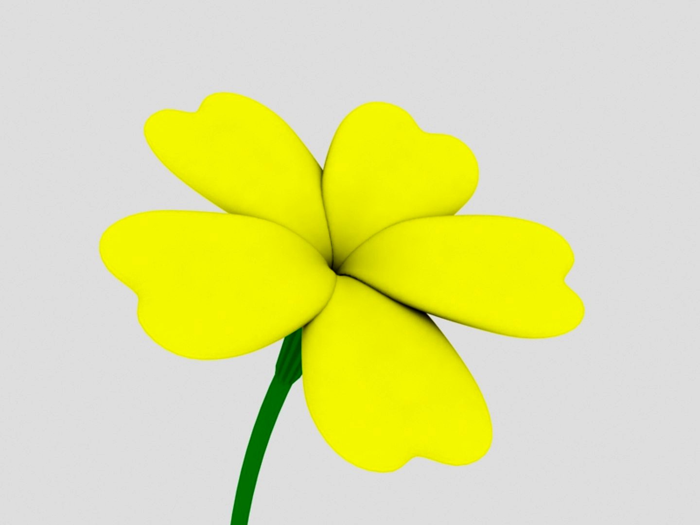 Spring Flower