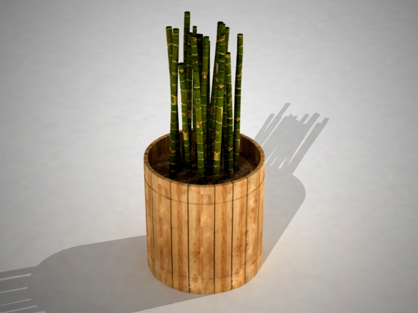 Maset of Bamboo o maseta de bamboo