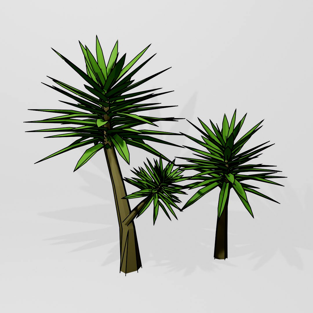 Polygonal Yucca