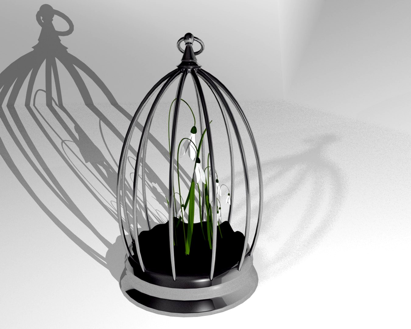 Flower Cage