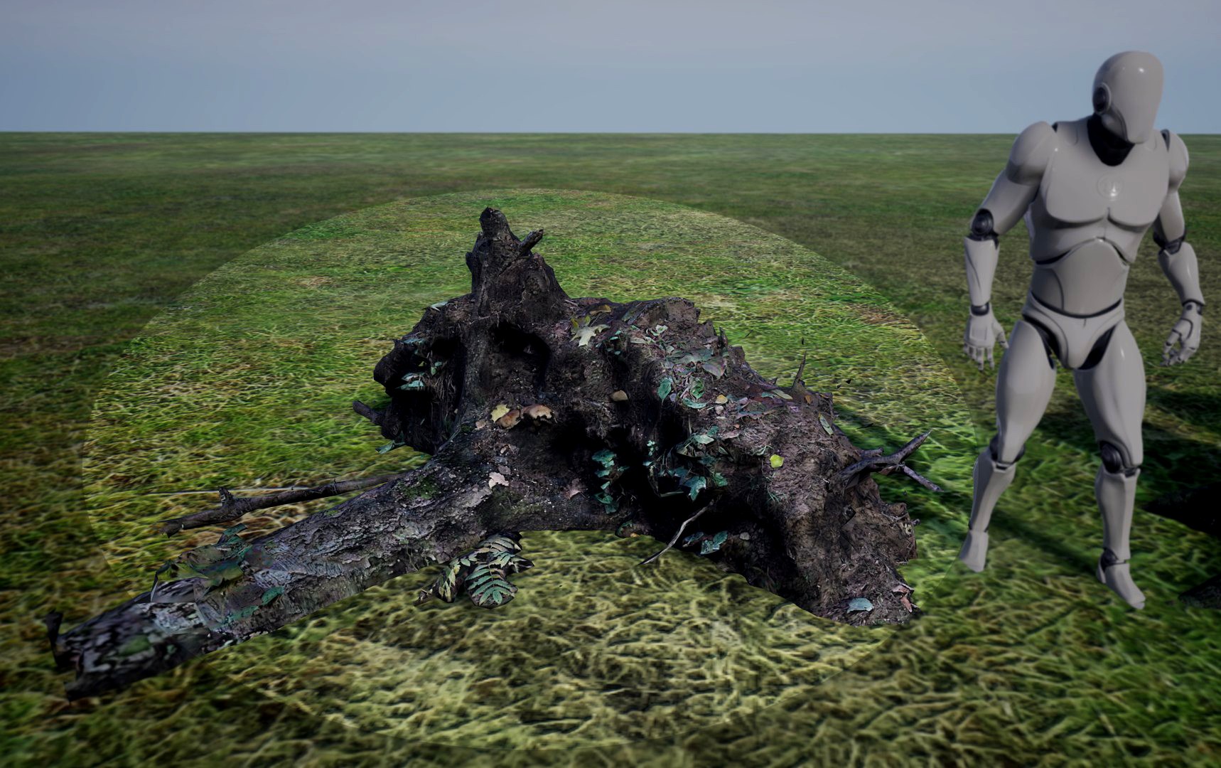 3D Scans Stumps and Trunks