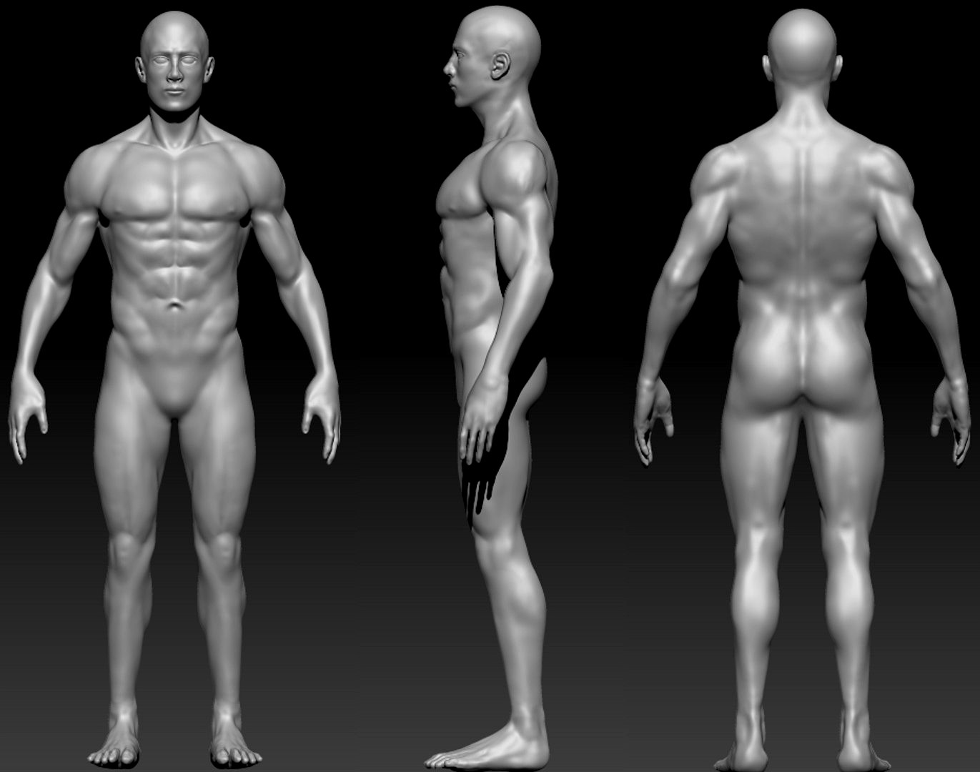 Human Male Basemesh 3D with clean topology