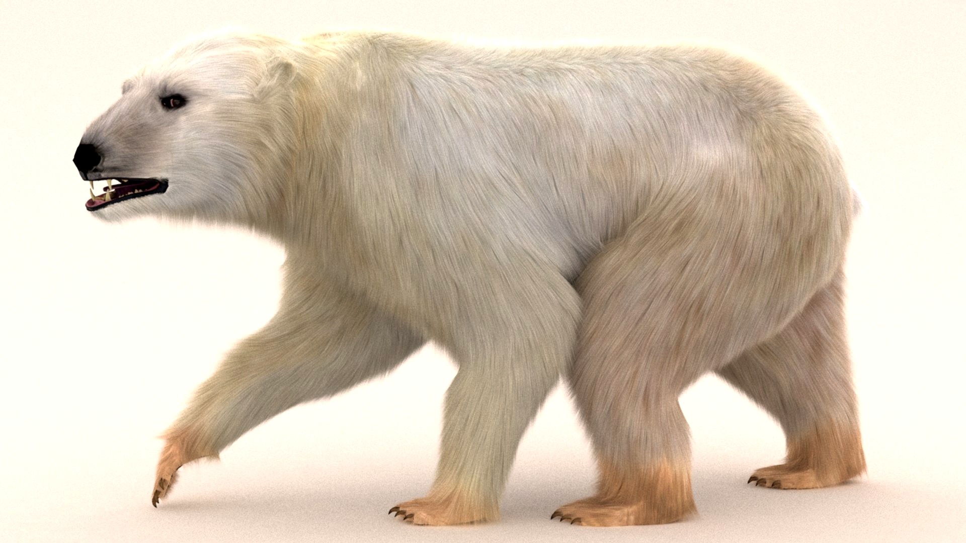 Polar Bear (fur) rigged
