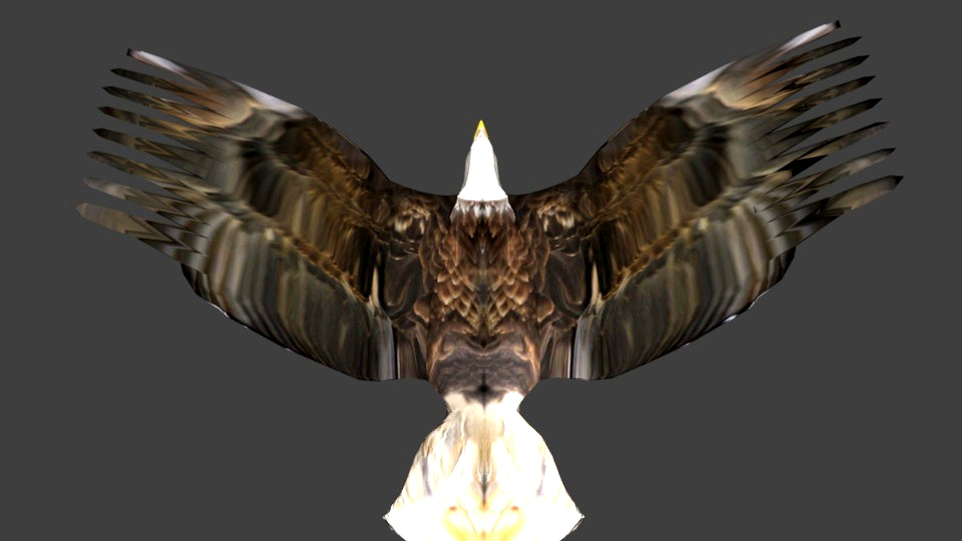 Eagle