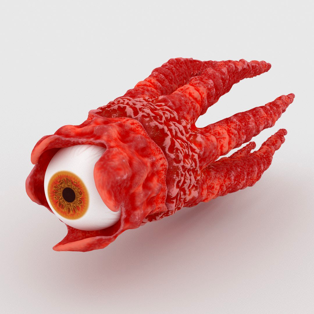 Sea Cephalopod