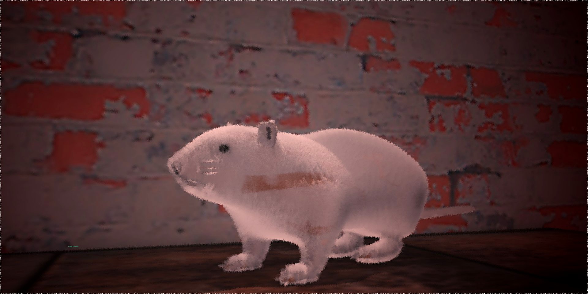 Rat