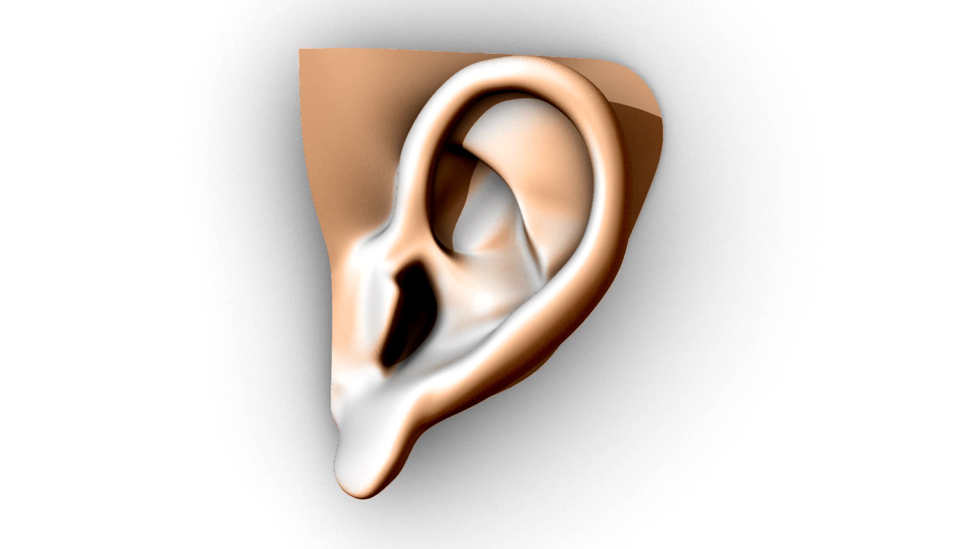 Ear