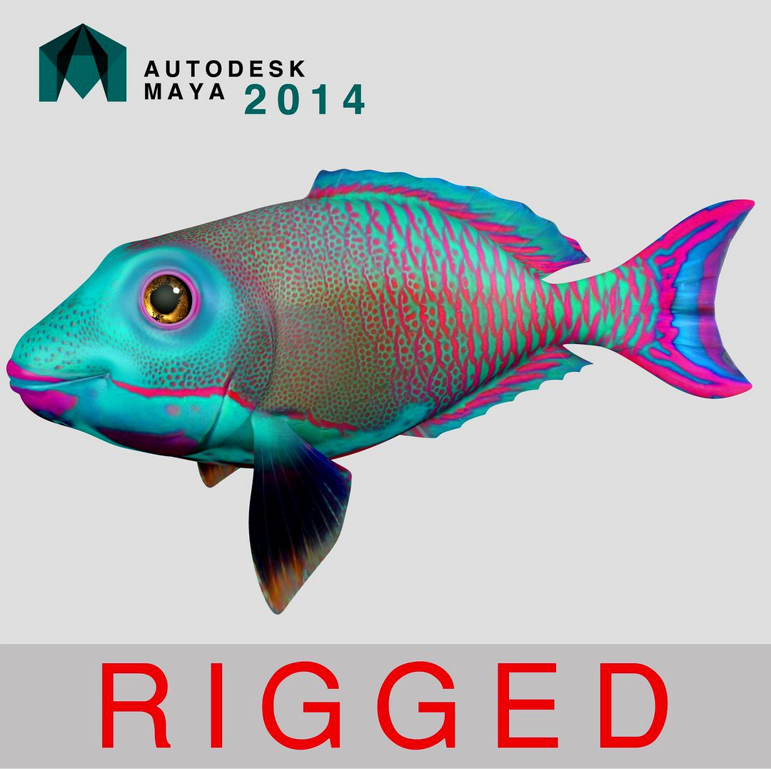FISH RIGGED