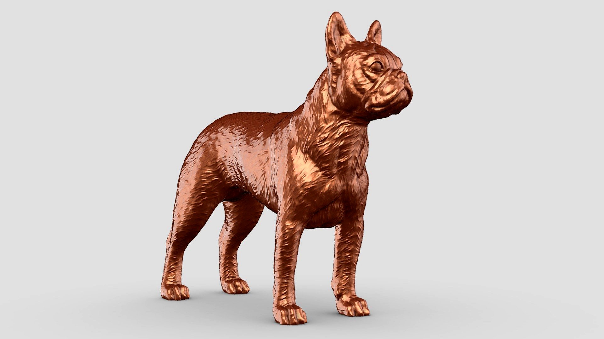 Boston Terrier Dog 3D Print Model Pose 02