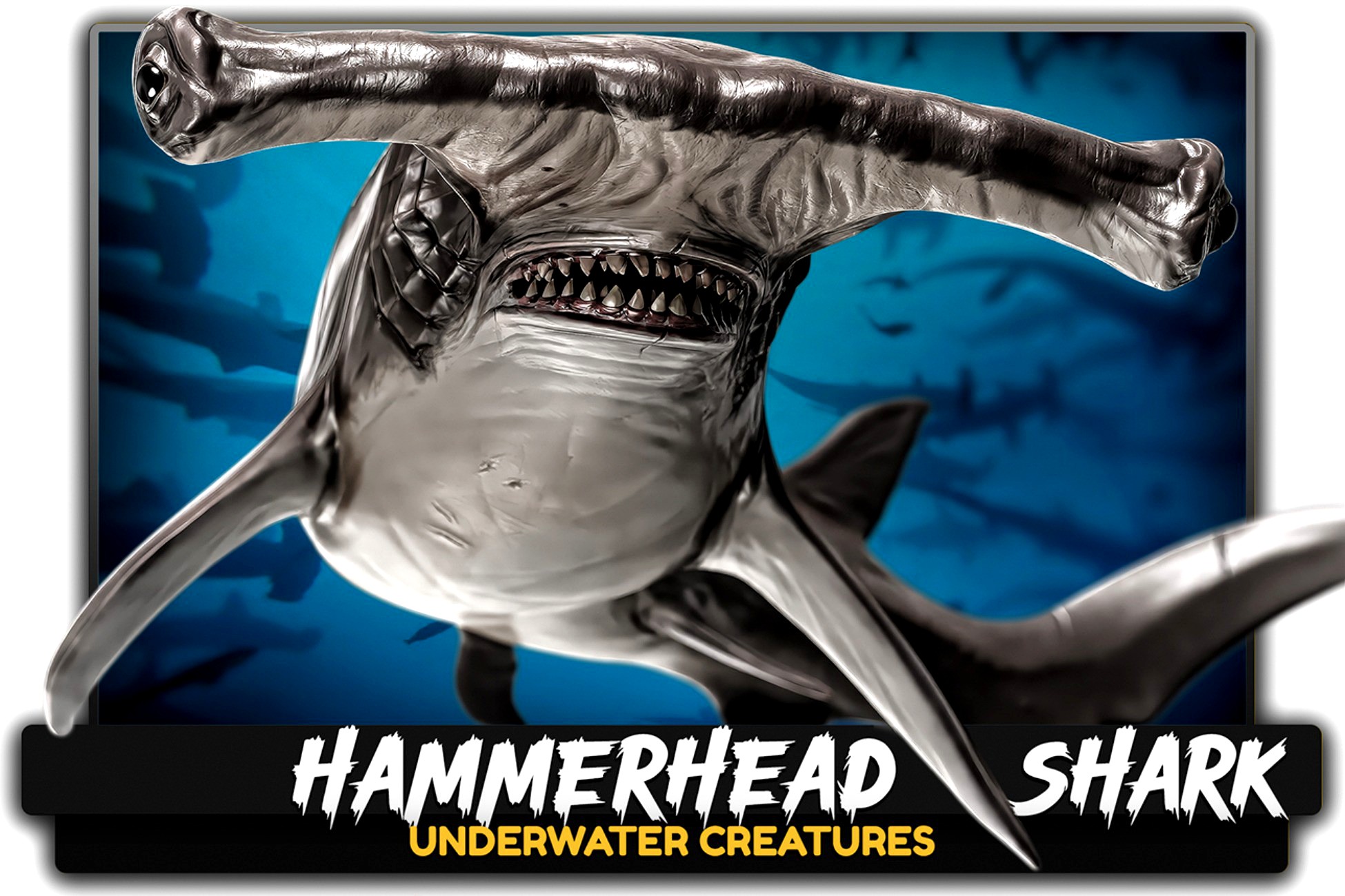 Hammerhead Shark - Ocean Realistic Monster - Underwater Creature - #29