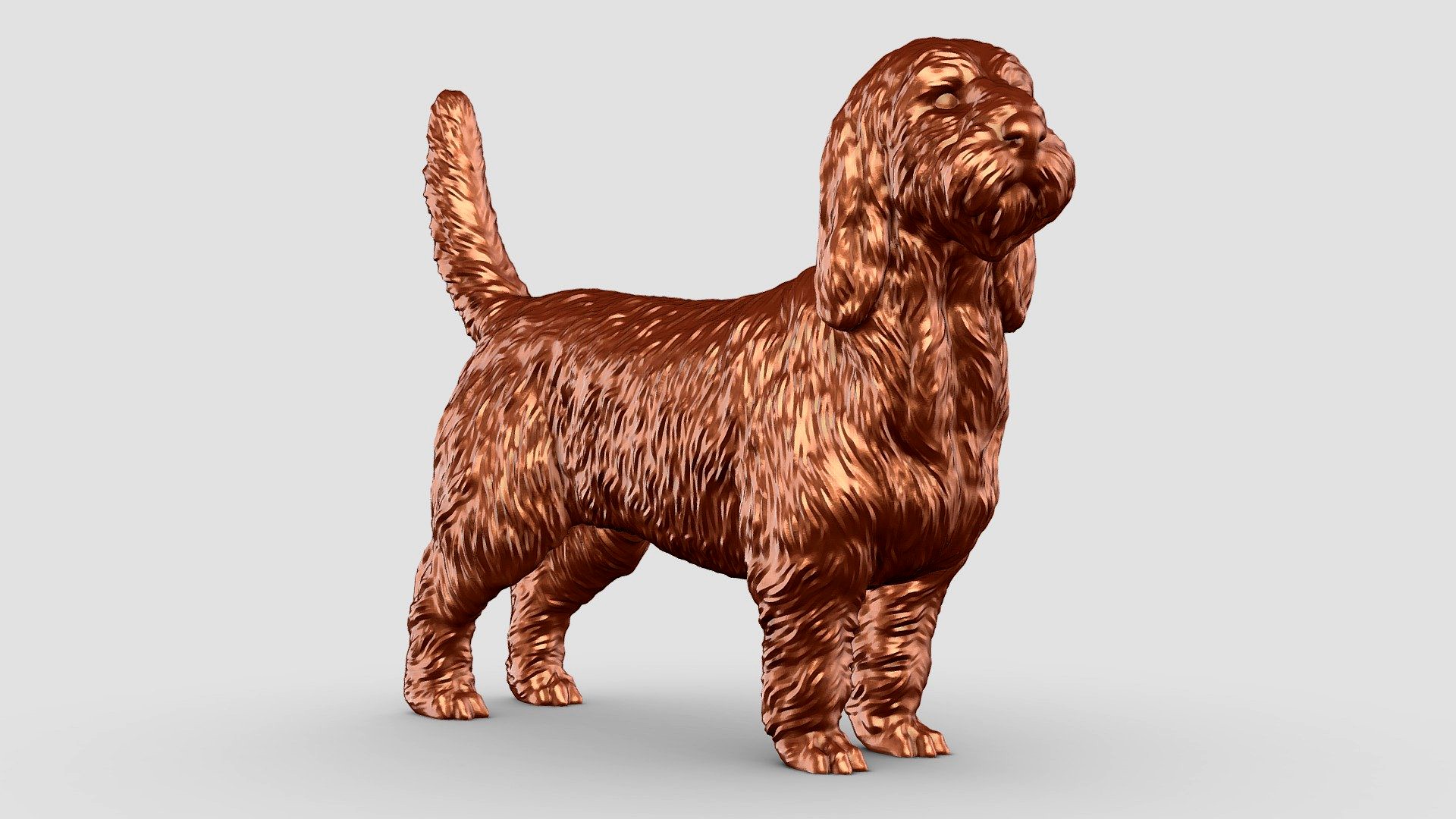 Basset Griffon Petit 3D Print Model Pose 03