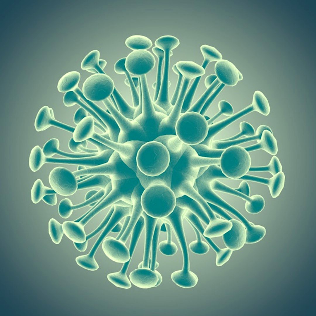 Virus cell