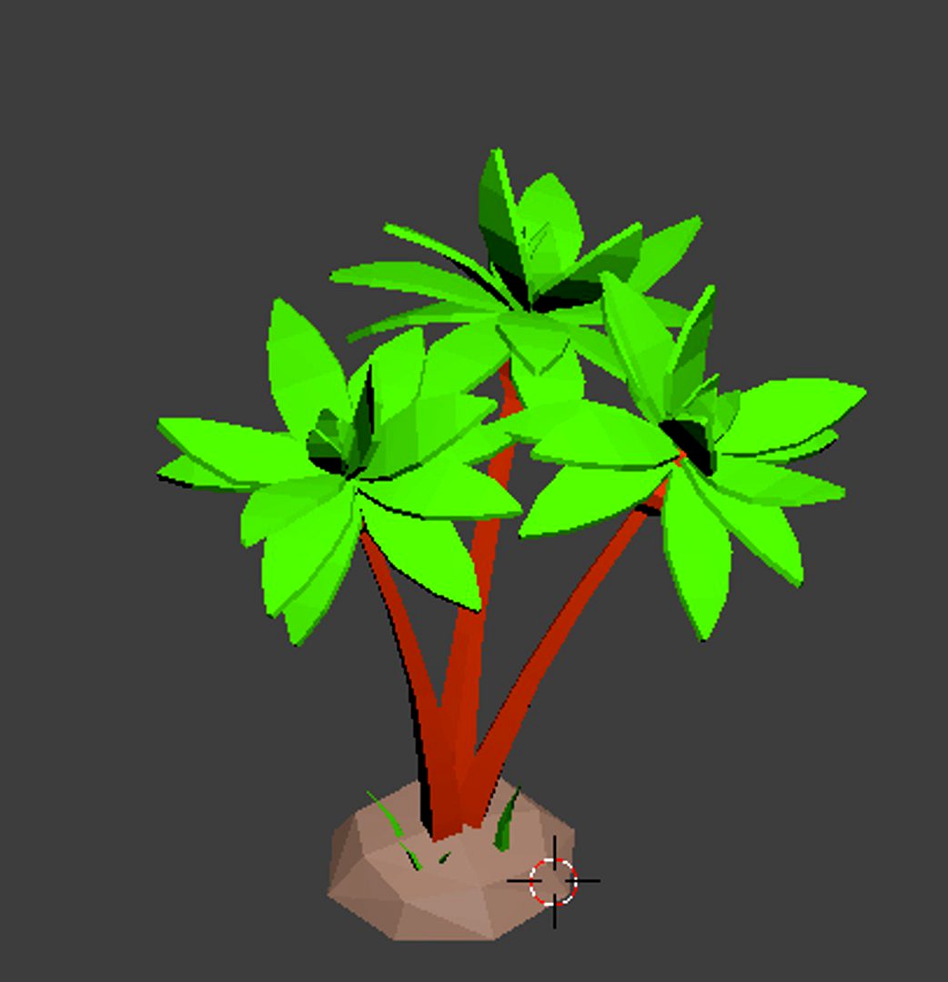Coconut tree
