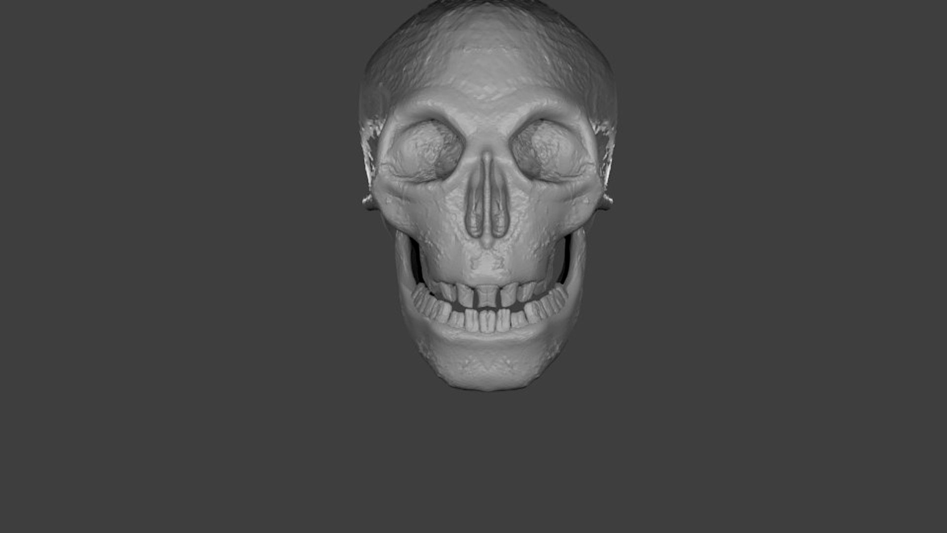 Skull