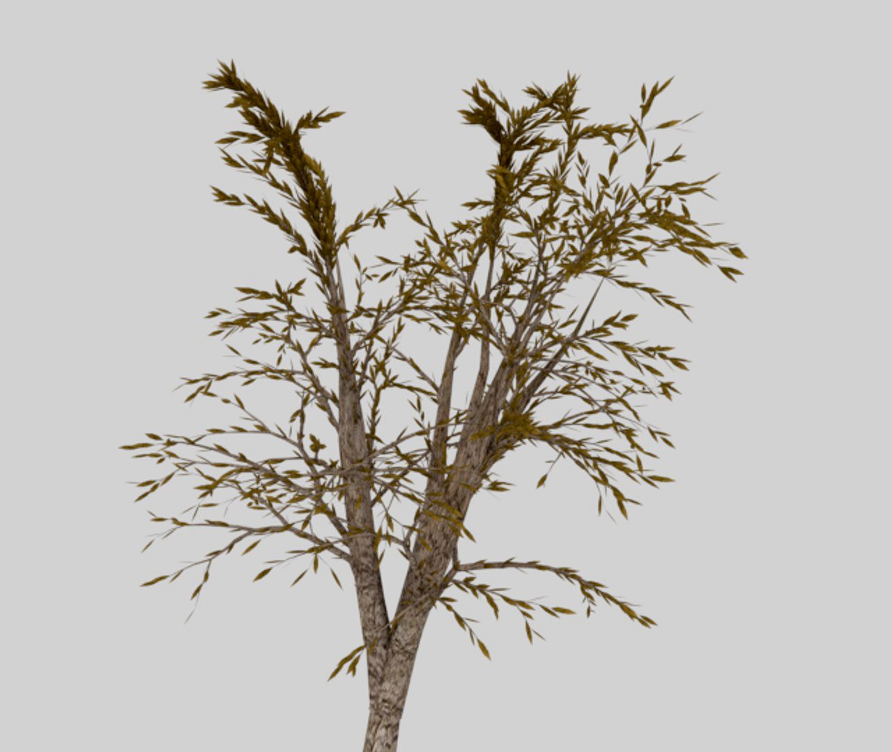 Tree(Photorealistic)