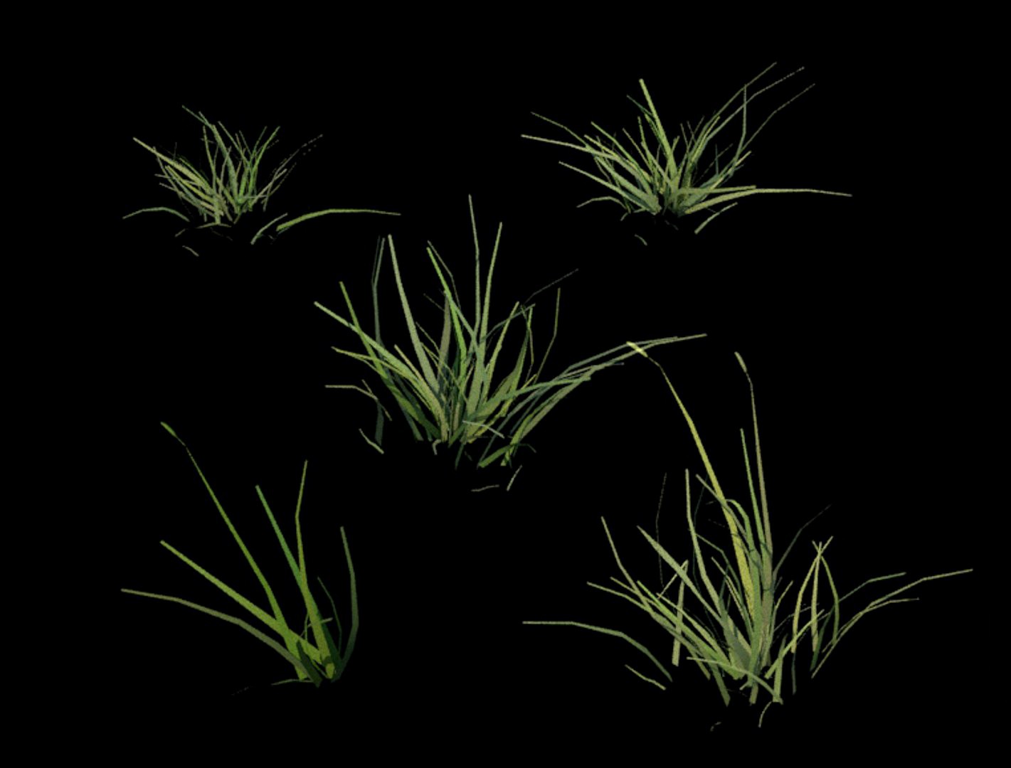 Grass clumps