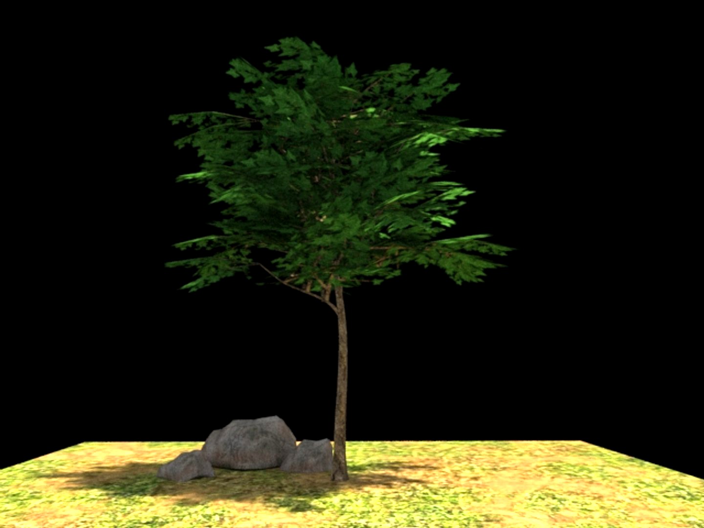 Low Poly Tree