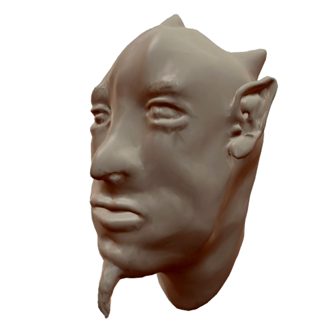 Face