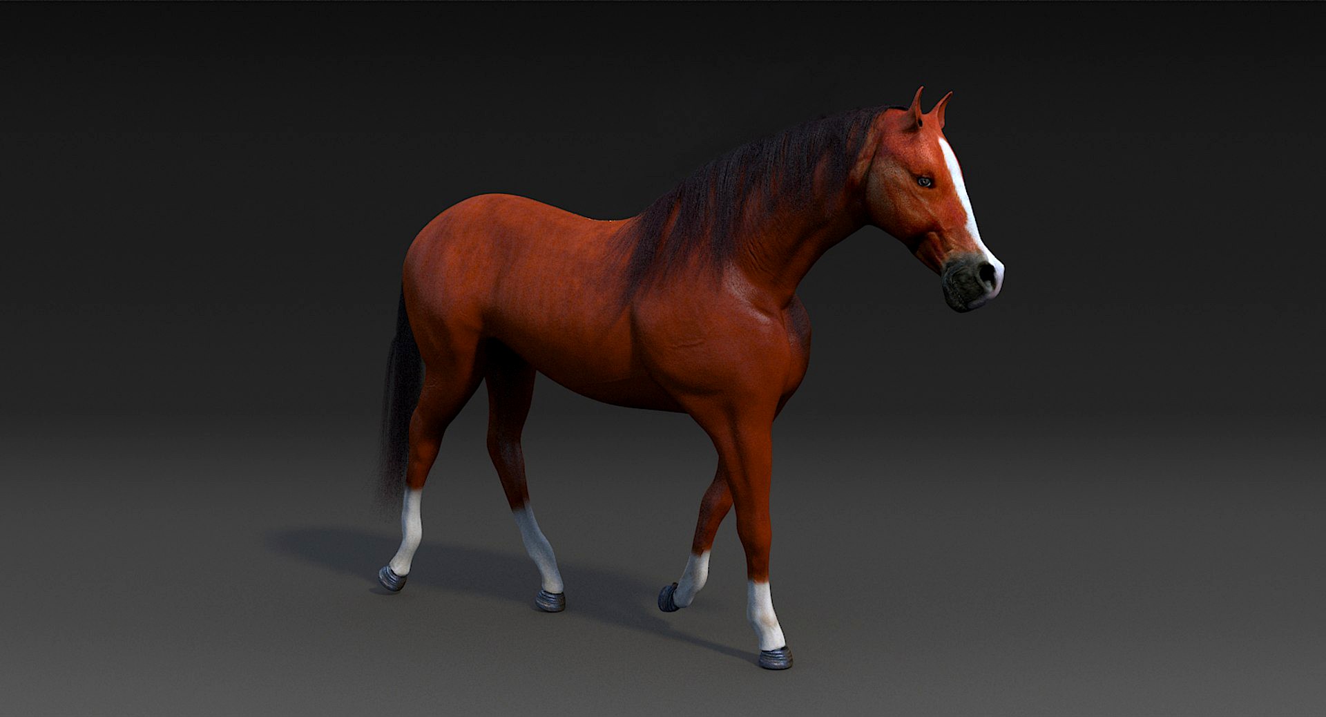 Realistic Brown Horse Rigged Animated