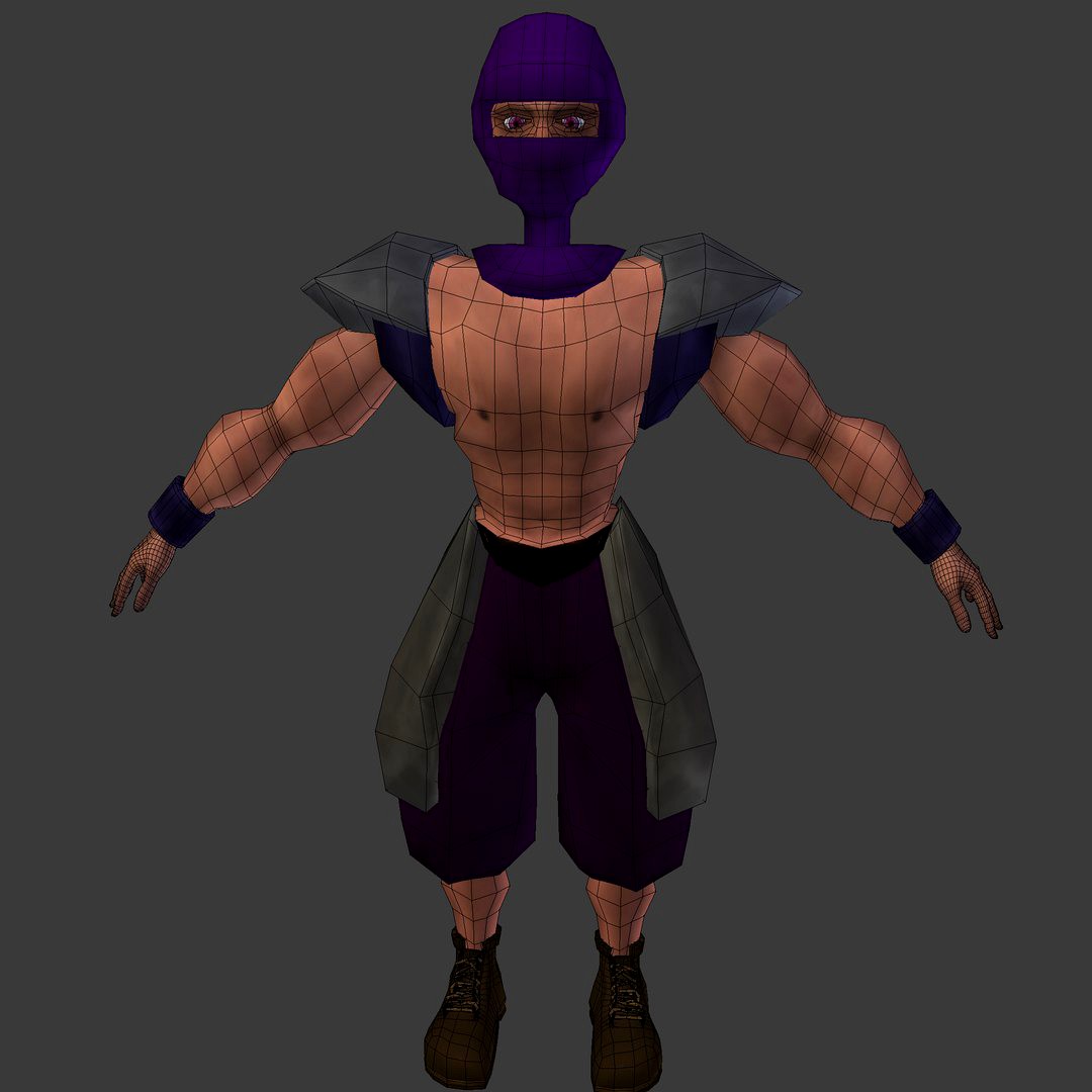 Ninja Gladiator