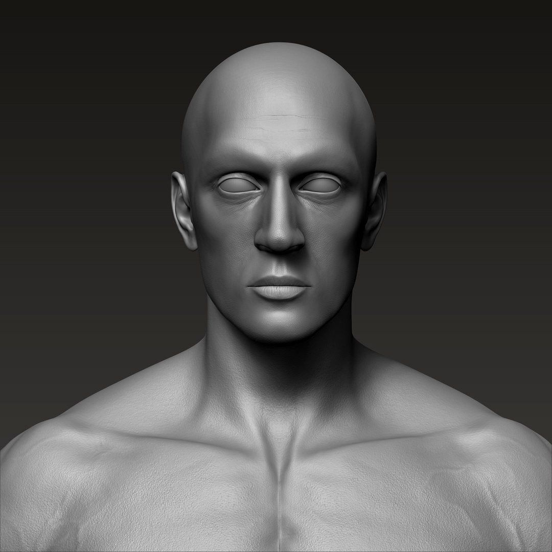 Anatomically correct muscular male body Low and High Poly Low-poly 3D model