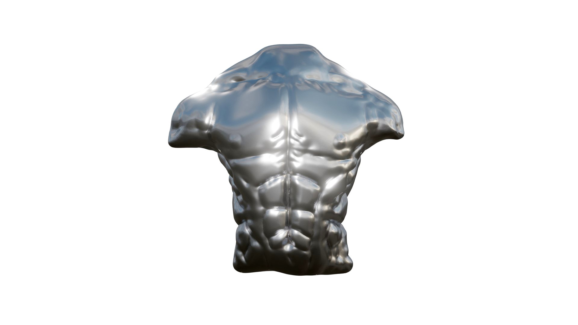 Male Torso