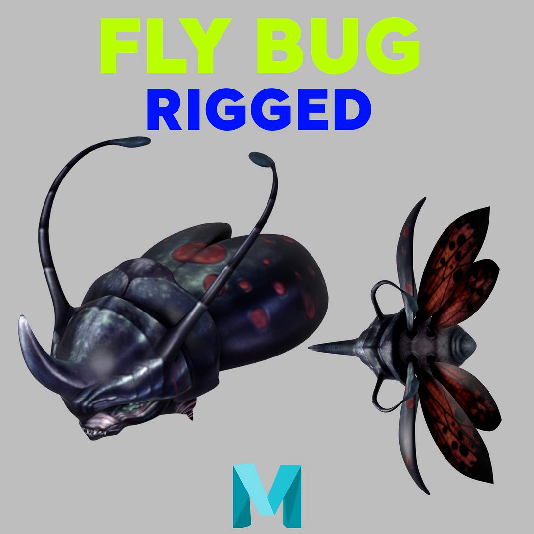 Fly Bug