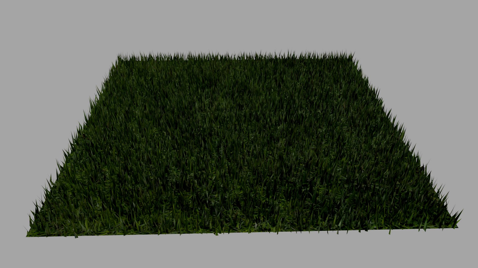 Grass