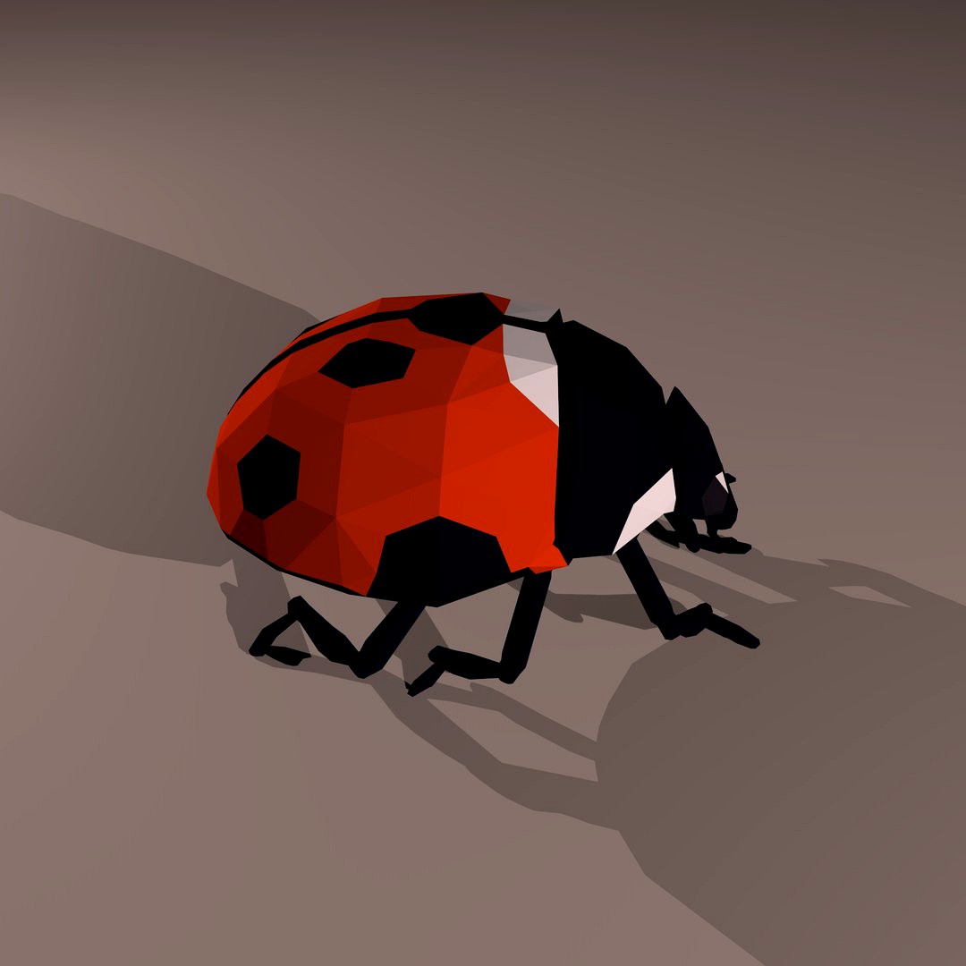 Lady Bug