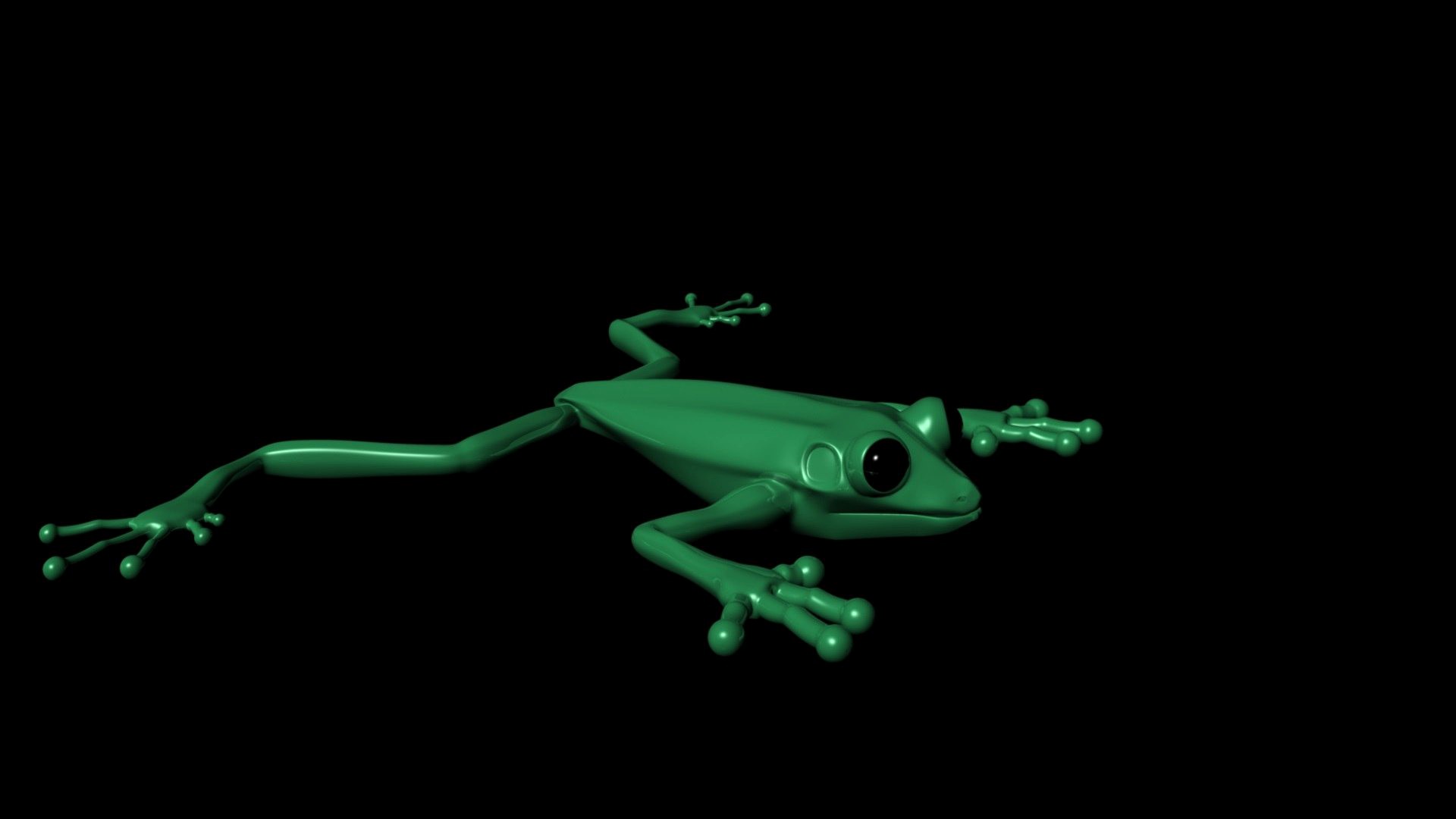 Tree Frog