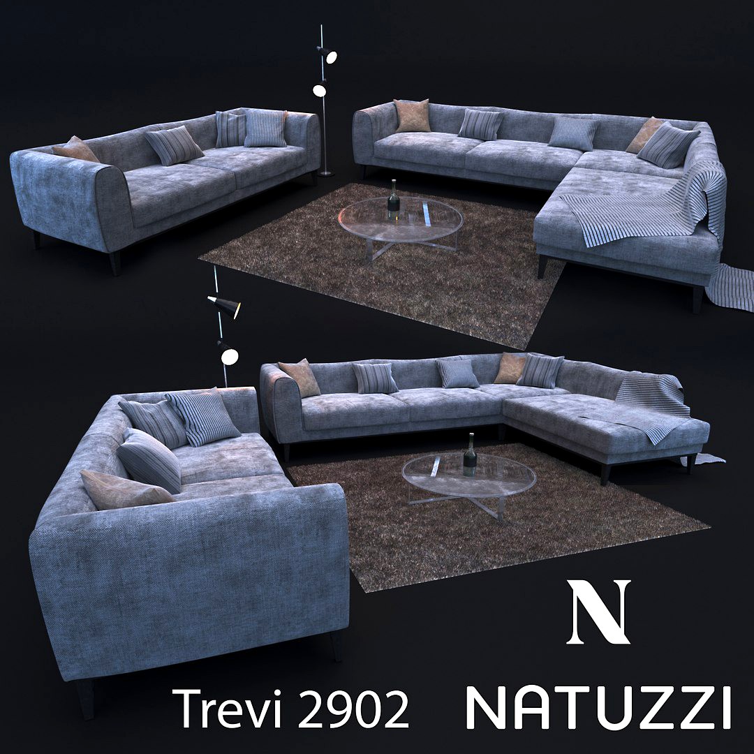 Sofa in modern style, NATUZZI Trevi 2902