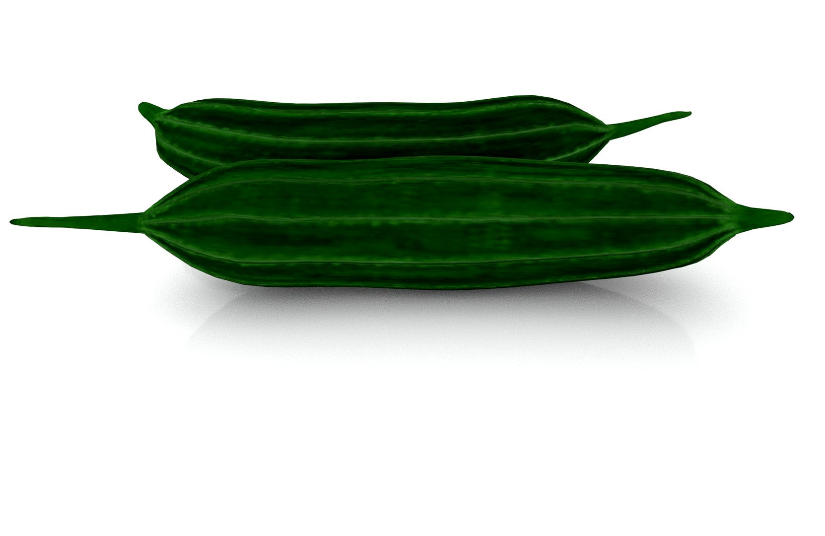 Ridge Gourd