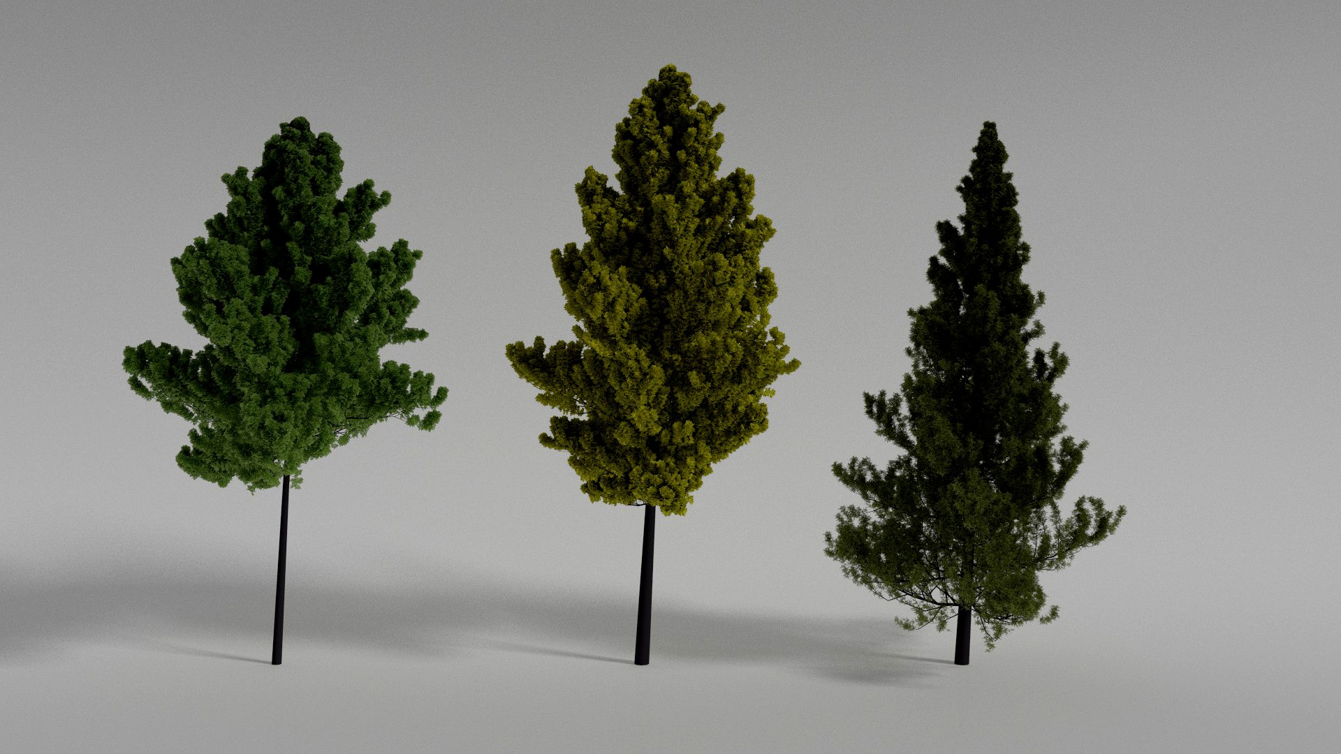 Hight-poly trees