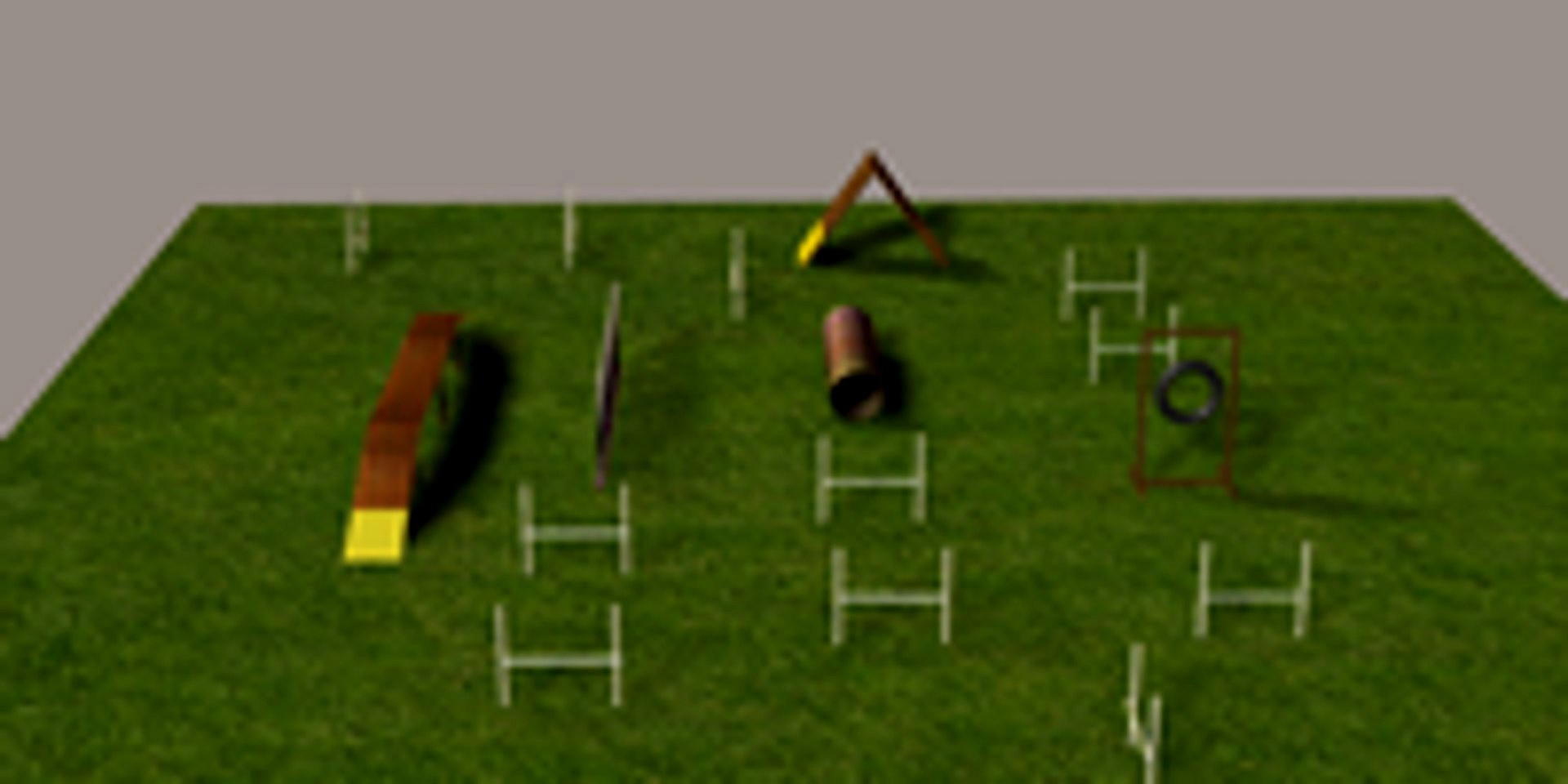 agility course