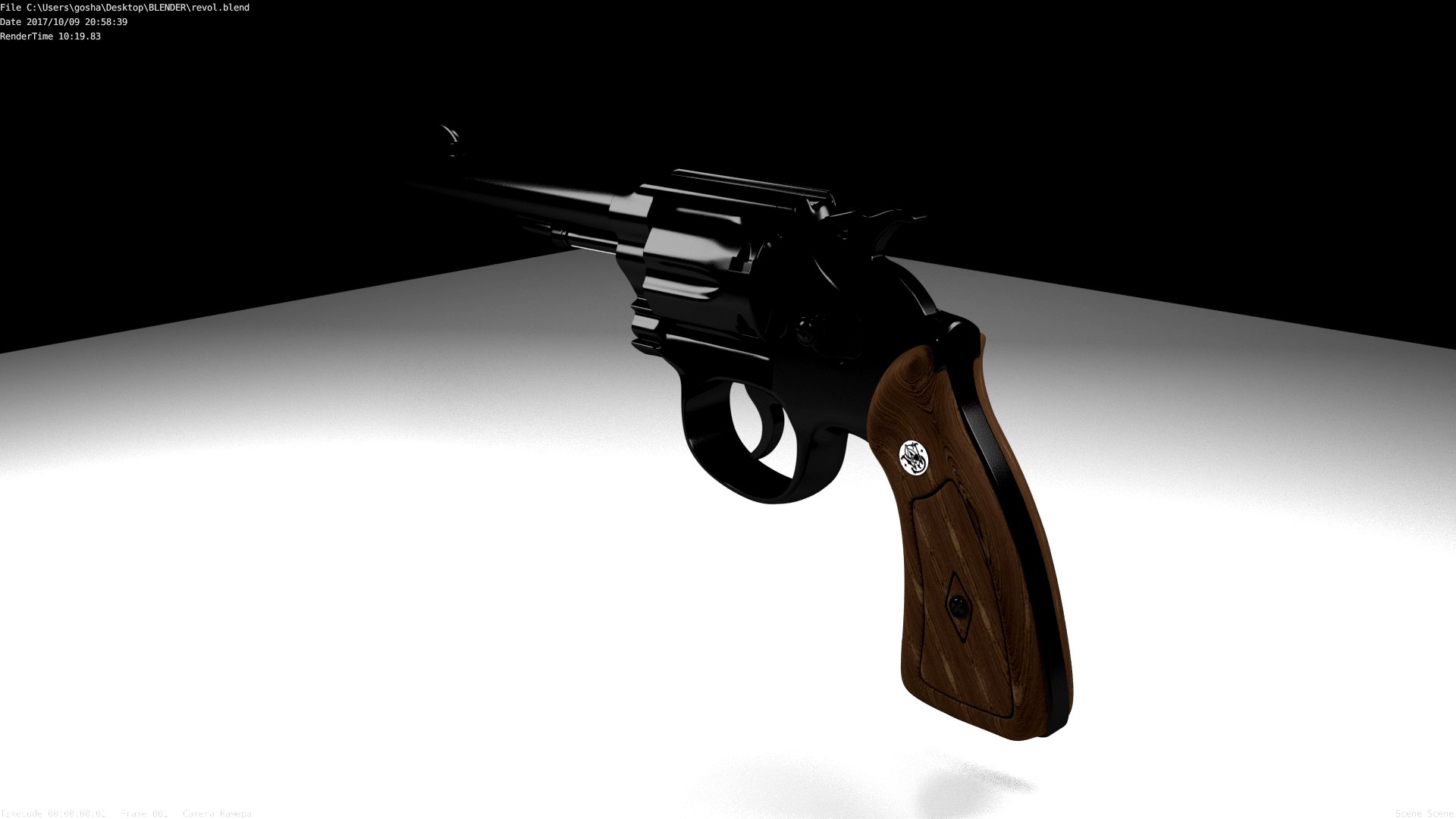 smith and wesson model10