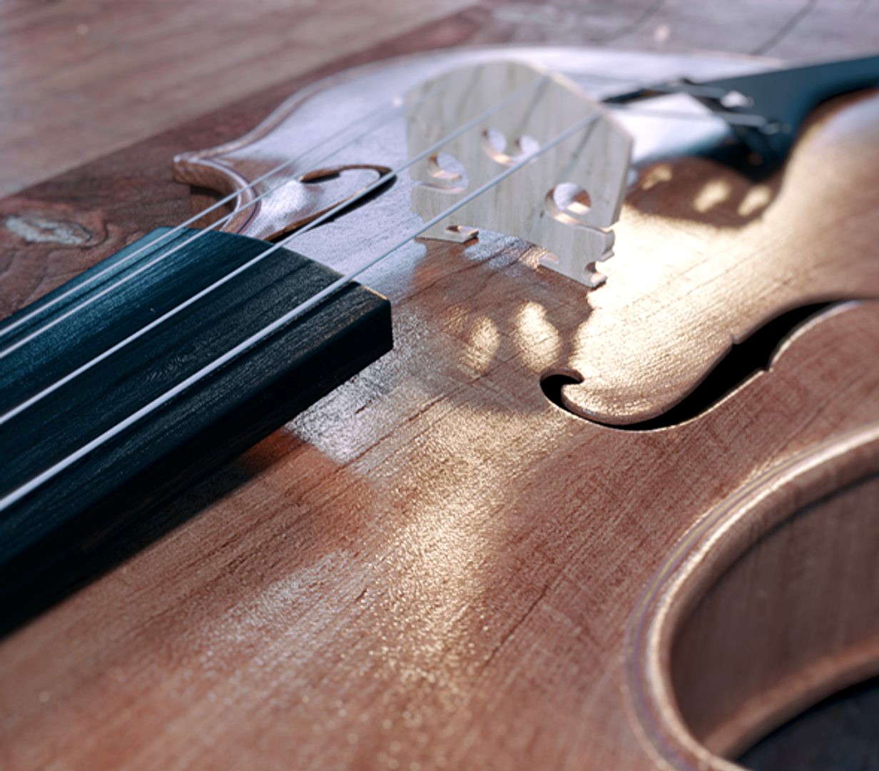viola