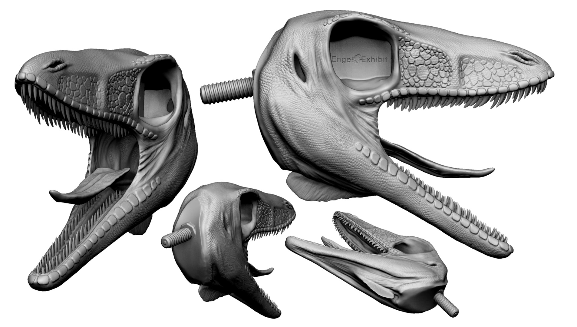 Sinosauropteryx prima - head