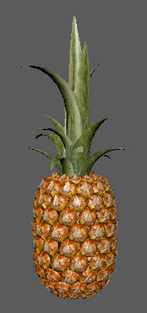 pineapple fruit