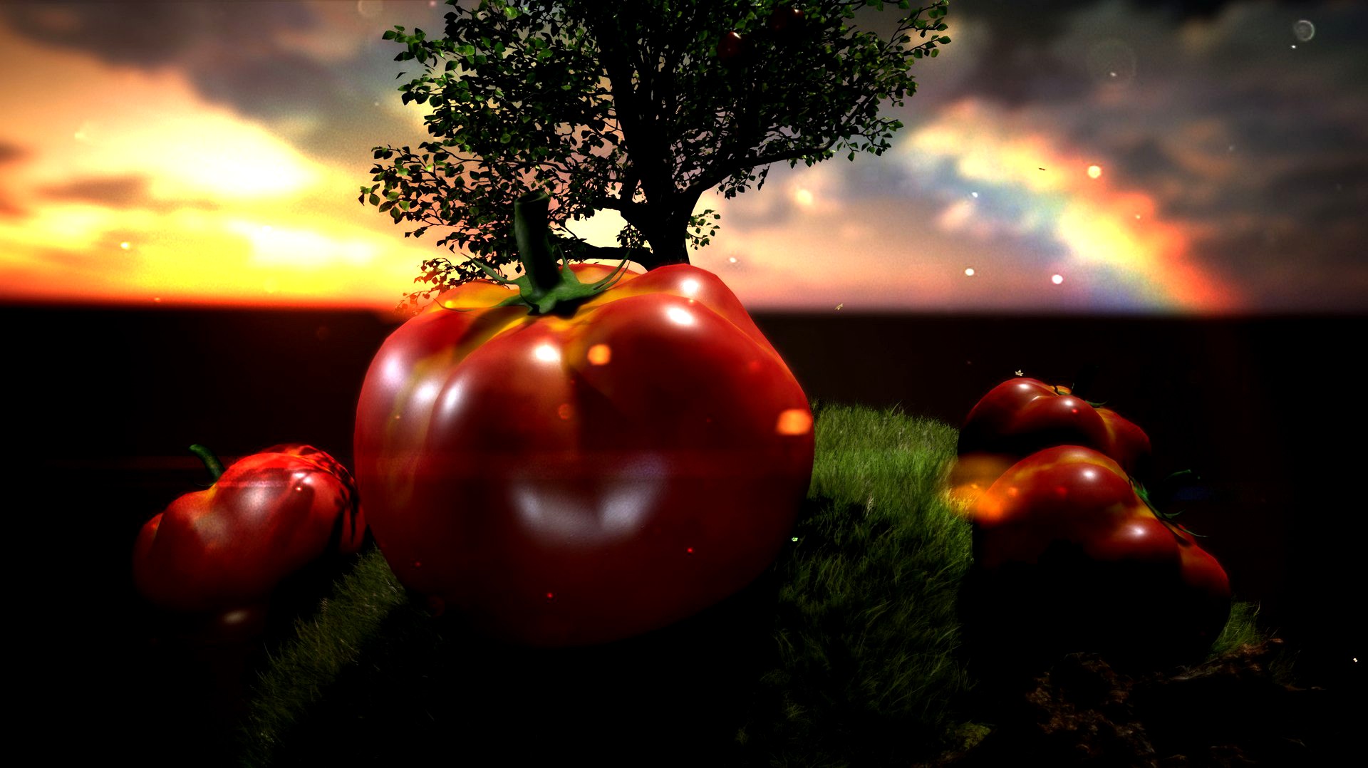 Tomato