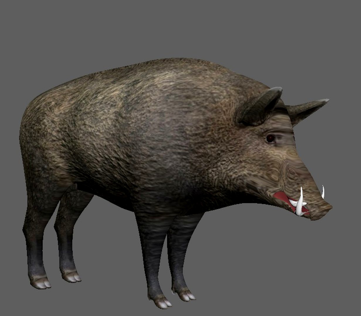 wild boar