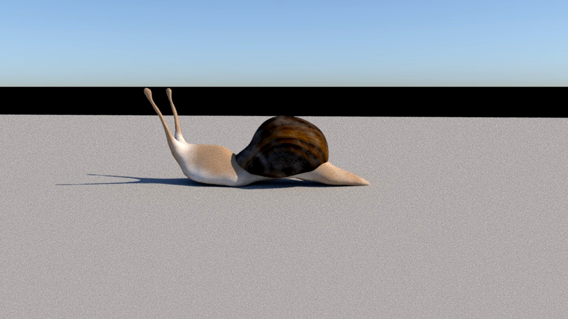 Snail
