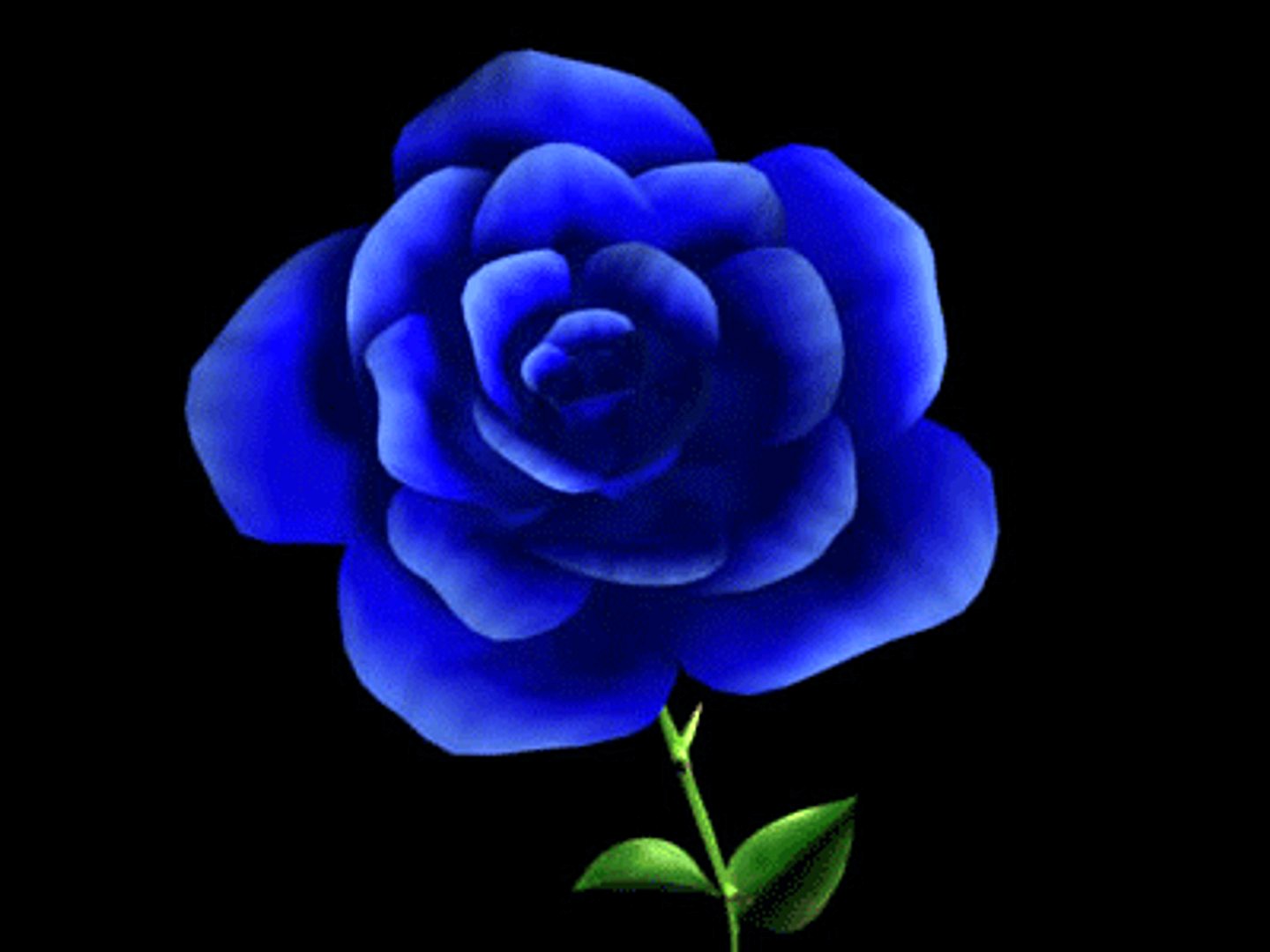 Detailed Blue Rose