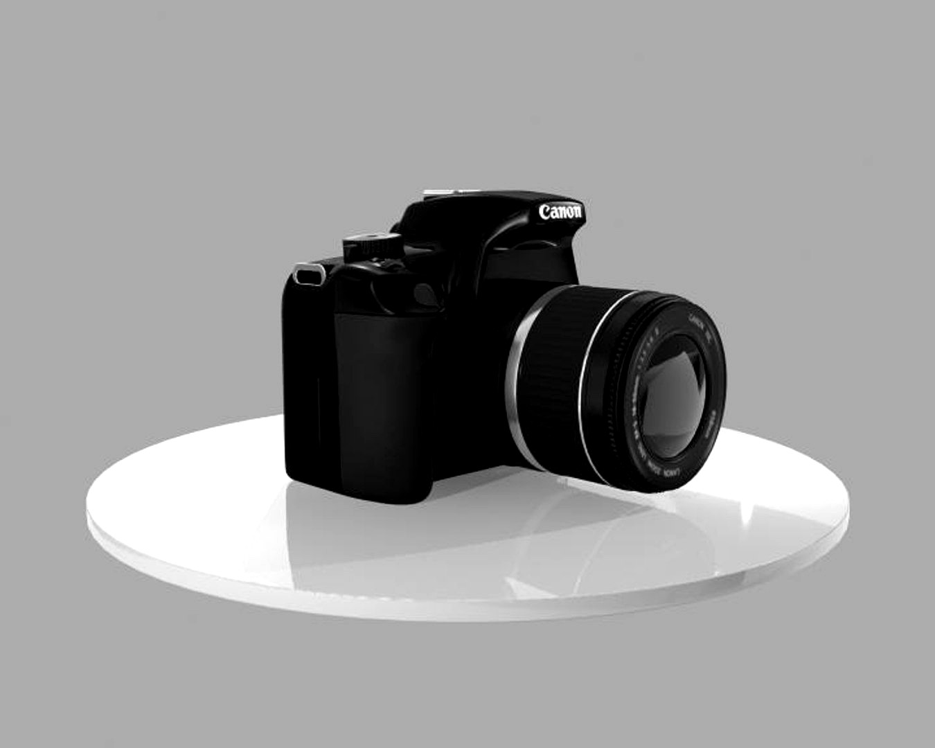 canon 1000 digital SLR