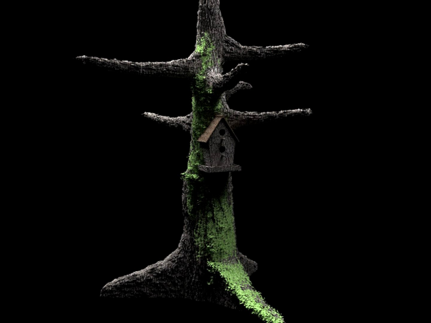 Tree