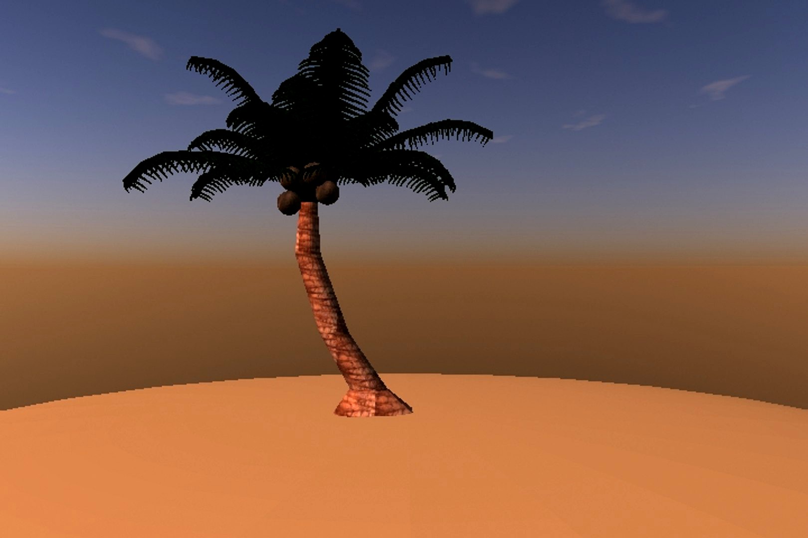 Palm Tree