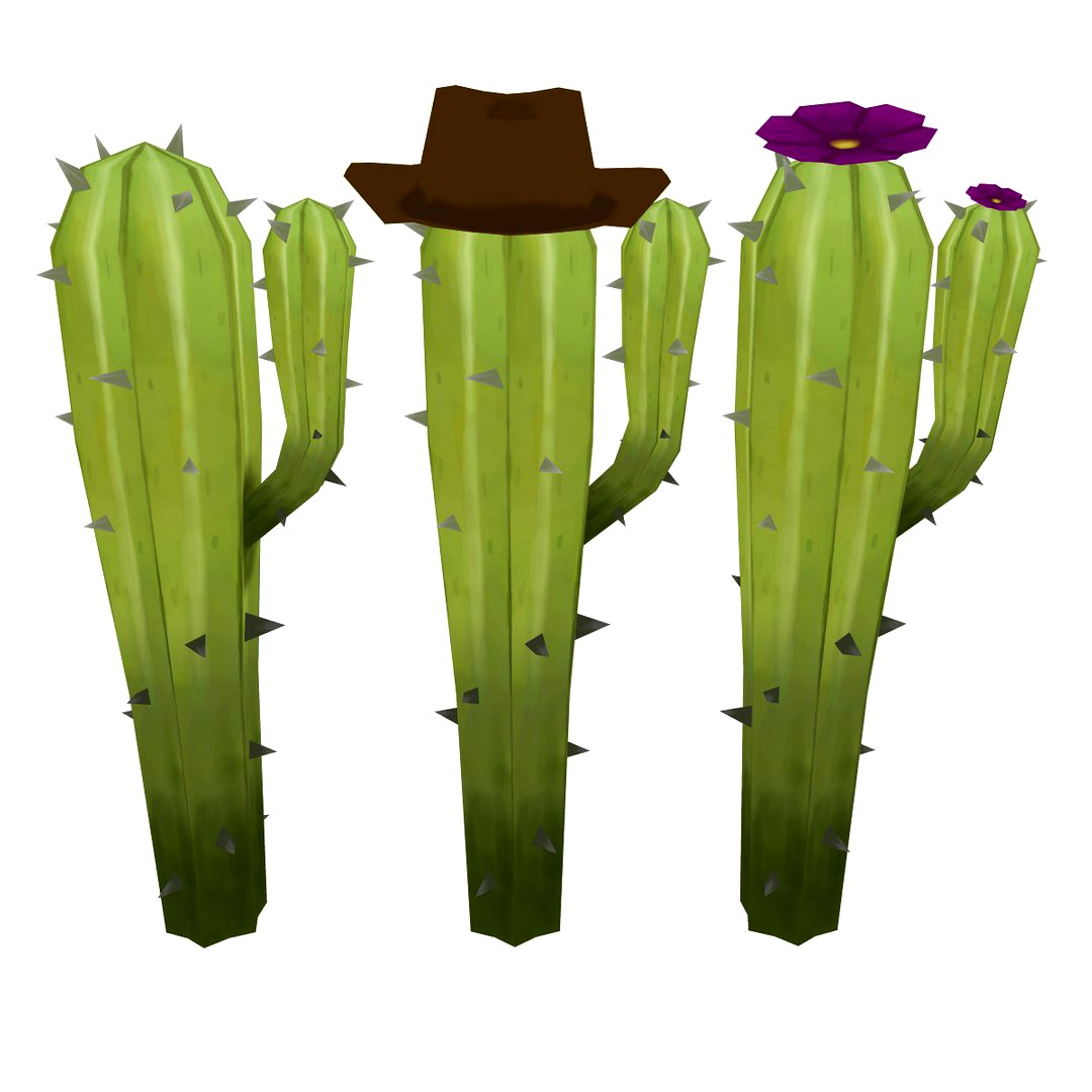 Cactus