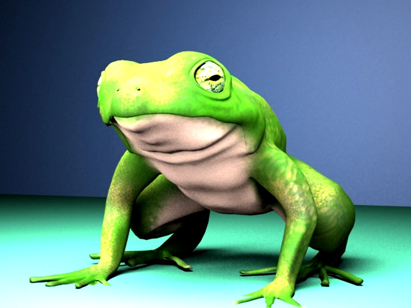 Frog