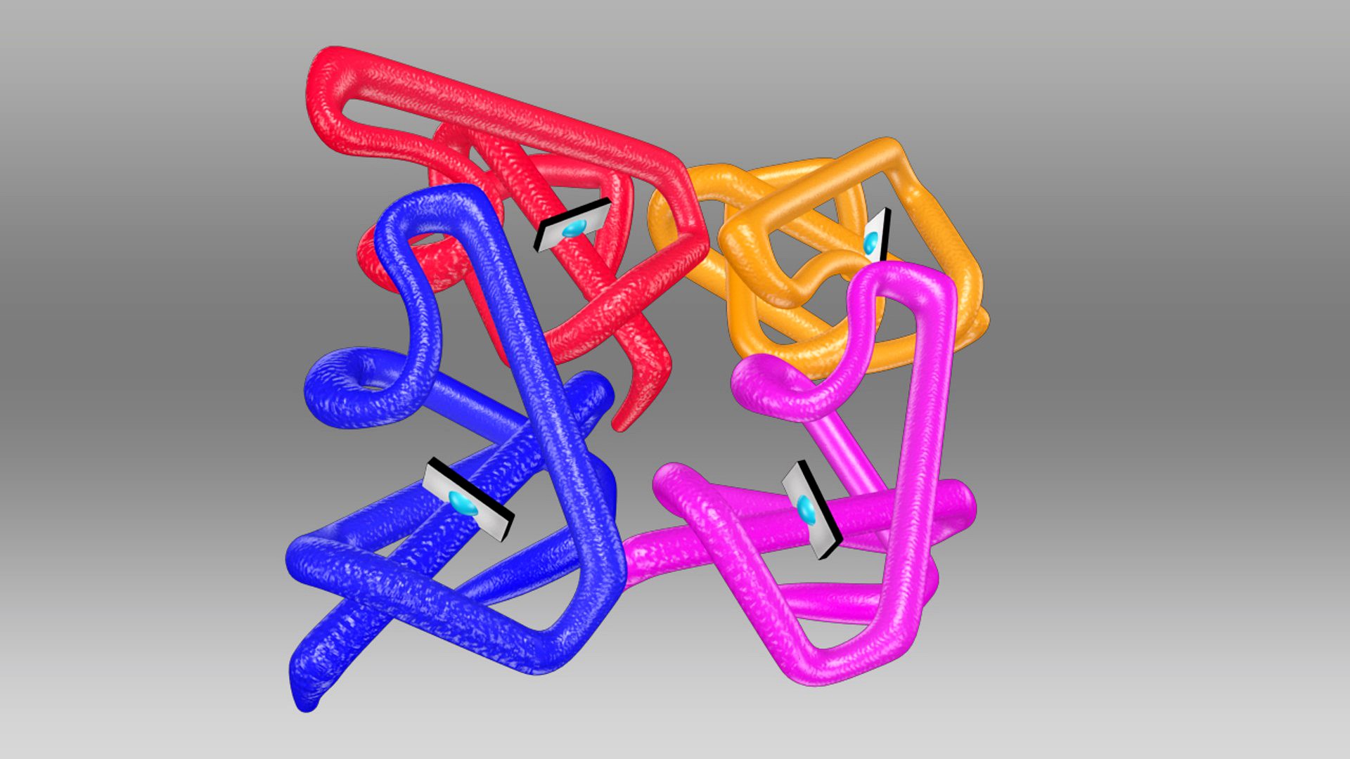 Hemoglobin Molecule