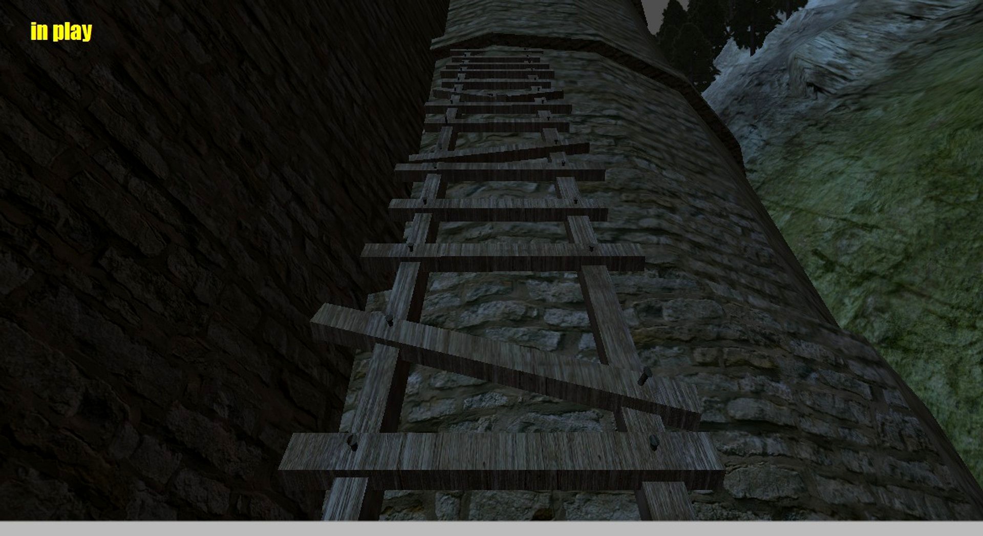 medieval ladder